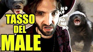 Il tasso del MALE  SCIENZA BRUTTA [upl. by Janelle]