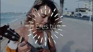 Eres tú  Carla Morrison  Cover Brissalop [upl. by Taam198]