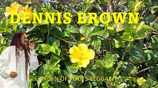 DENNIS BROWN  LOVE amp HATE  CREATED BY THE FATHER  CHILDREN OF ISRAEL  GARDEN OF ROOTS EDUCATION [upl. by Annaili]