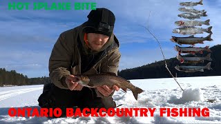 Splake Fishing a Backcountry Stocked Lake [upl. by Cullan741]