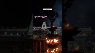 thirumalthirupathi thirumalai purattasimonth [upl. by Ayrolg]