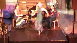 Garrotin fuegoflamenco Hamburg Antonio Fernandez [upl. by Riebling]