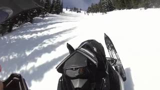 Grizzly Bear Snowmobile [upl. by Cord]