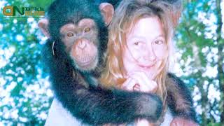 Travis the Chimp Attack Video Viral On Social Media  Who Was Charla Nash  Travis The Chimp Victim [upl. by Aivonas189]