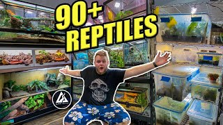 HUGE REPTILE ROOM TOUR October 2021  90 REPTILES [upl. by Eitsrik]