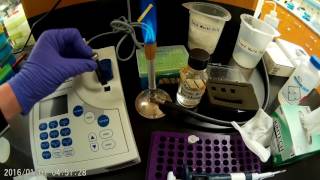 Measuring the concentration and purity of a plasmid DNA sample [upl. by Ogilvie]