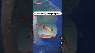 I Found a Very Strange Tiger In Real On Google Earth And Map shorts mappoint [upl. by Anilas]