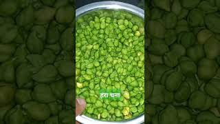 Hara Chana  हरा कच्चा चना प्राइस ₹200 kg [upl. by Lyrehc]