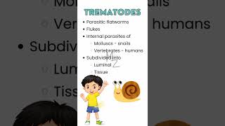 What are trematodes parasitology trendingshorts flatworm medzukhruf microbiology [upl. by Brodeur500]