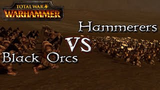 Black Orcs vs Hammerers  Total War Warhammer  1v1 Unit Battles [upl. by Yelrebma]