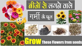 बीजों से लगने वाले गर्मी के फूल  Summer flowers grow From seeds [upl. by Annayt]