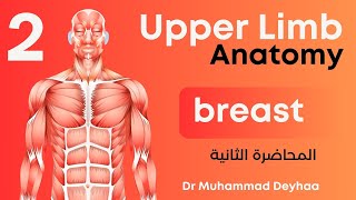 Upper limb Anatomy  lec 2  Breast  Mammary Gland  د محمد ضياء [upl. by Enidaj]