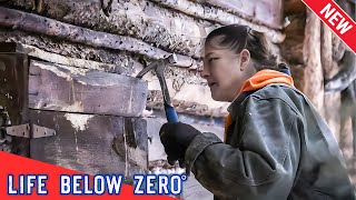 🅷🅾🆃 Life Below Zero 2024 🔥 Bloodlines 🔥 🅱🅴🆂🆃 Hunting Documentaries [upl. by Giorgi]