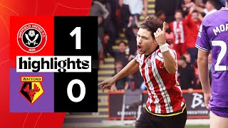 Sheffield United 10 Watford  EFL Championship highlights [upl. by Elisee774]