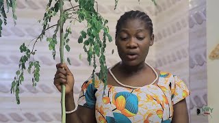 Mercy Johnson Is So Hilarious In This Comedy Movie  2023 Latest Nigerian Nollywood Movie [upl. by Elvah199]