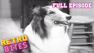 Lassie  The Bonnet  Full Episodes [upl. by Ahsiened]