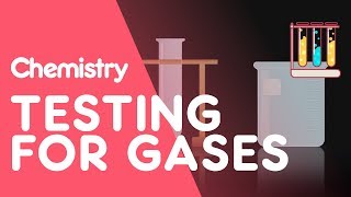 Chemistry  3Sec  The detection on CO2 gas by clear limewater [upl. by Albert858]