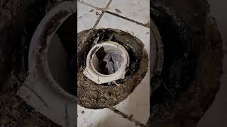 cracked toilet flange repair concrete slab Part 1 [upl. by Yentterb252]