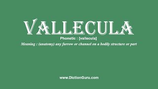 How to Pronounce vallecula with Meaning Phonetic Synonyms and Sentence Examples [upl. by Rolandson]