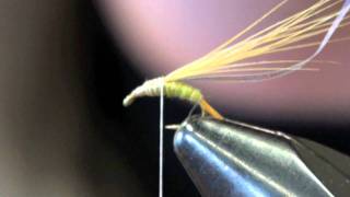 Barrs Emerger Fly Tying Instructions  How to tie BWO Emerger Video [upl. by Arin]