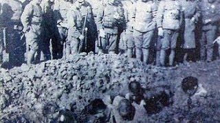 Nanjing Massacre Memorial curator condemns remarks [upl. by Atinyl817]