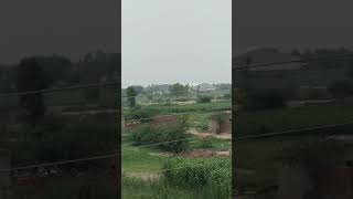 Vivo s1 pro zooming [upl. by Nauqet]