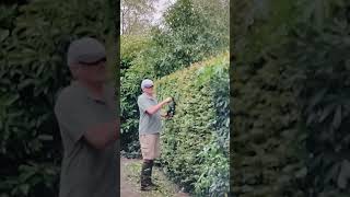 Hedge Trimming makita gardening hedges [upl. by Eedissac740]