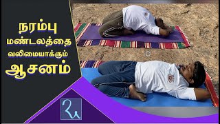 நரம்பு மண்டலம் வலுப்பெற செய்யும் ஆசனம்  Supta Vajrasanam Benefits  Aathma Yoga  Ra Media [upl. by Franci228]