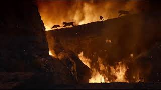 The Lion King 2019  Last Fight Between Scar and Simba Final Scene [upl. by Fantasia]