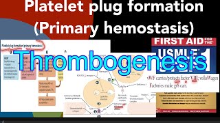 Platelet plug formation primary hemostasis  Thrombogenesis  Bernard Soulier syndrome etc [upl. by Tavia]