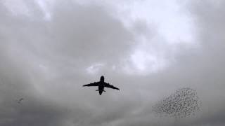 C5 Galaxy Departure Flyover HD [upl. by Nogaem]