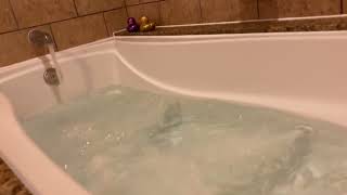 AKL 🦒 Bathtub Filling ASMR  Full 💦 Fill  Whirlpool Jets amp Purple  Gold Ducks 🦆 [upl. by Dory]