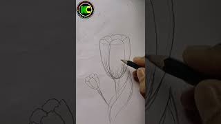 Easy Way To Draw Tulip Flower tulip flower hack drawing [upl. by Aisinut]