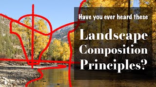 Have You Ever Heard These Landscape Composition Principles [upl. by Olaznog]