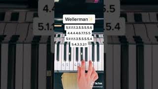 Nathan Evans  Wellerman Sea Shanty piano cover  tutorial [upl. by Chaing]