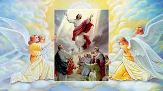 Holy Rosary  Glorious Mysteries  Wednesday amp Sunday [upl. by Annaiuq]