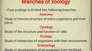 Branches of Zoology [upl. by Bartie]