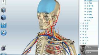 3D 과학 교육용 컨텐츠 D³D CUBE  3D interactive science contents  Humans Body [upl. by Nyssa]