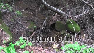 Canon SMV1 51ch Surround Sound Microphone Test [upl. by Netsoj]