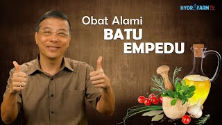 Obat Alami BATU EMPEDU [upl. by Klenk]