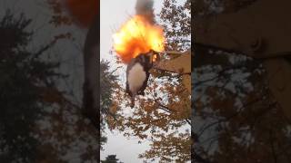 GIANT Bald Faced Hornets Nest Vs Black Powder Cannon strapped to Backhoe [upl. by Atilal]