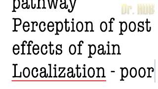 Paleospinothalamic tract  Dual pain pathway [upl. by Clintock]