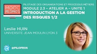 Introduction à la gestion des risques 12 [upl. by Israel]