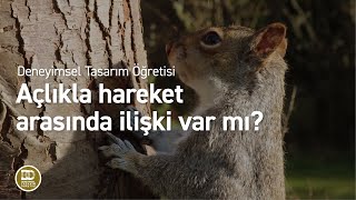 Deneyimsel Tasarım Öğretisi  Açlıkla hareket arasında ilişki var mı [upl. by Frederica]