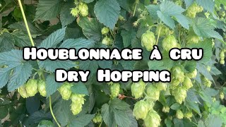 Comment réussir son houblonnage à cru dry hopping [upl. by Obadiah282]