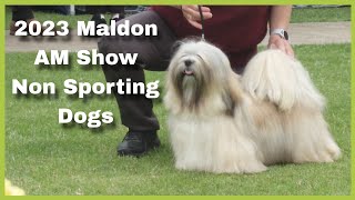 2023 Maldon AM Show  Non Sporting Dogs [upl. by Lovmilla]