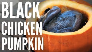 Cooking a Whole BLACK Silkie CHICKEN in a PUMPKIN  Chinese herbal soup [upl. by Gustin]