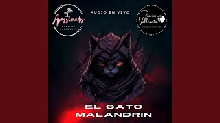 EL GATO MALANDRIN PASSION VALLENATA EN VIVO En vivo [upl. by Oijile]