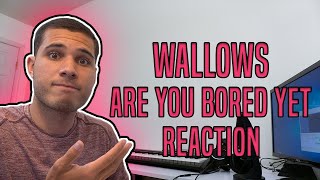 Wallows  Are You Bored Yet REACTION [upl. by Till780]