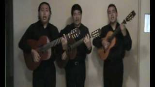 trio los trovadoresmoliendo cafemp4 [upl. by Lled]